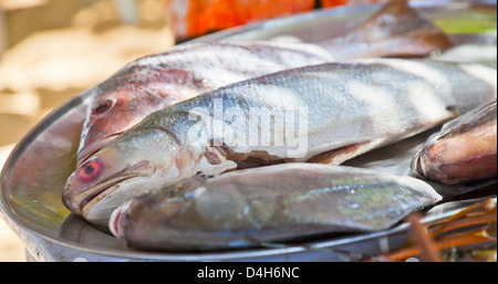 Poisson frais de la mer sur un plateau d'argent d'afficher sur un même à l'ombre d'un arbre à l'extérieur. Lieu de tournage a été générique Inde Goa Banque D'Images