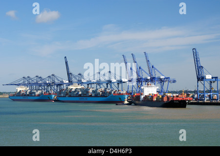 Les porte-conteneurs et de grues de chargement au port de Felixstowe, Suffolk, Angleterre, RU Banque D'Images