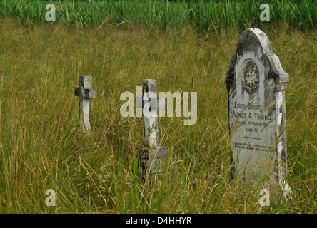 Pierres tombales civile à la bataille de Gingindlovu cimetière, le KwaZulu-Natal, Afrique du Sud 1879 cimetière Anglo-Zulu war Banque D'Images