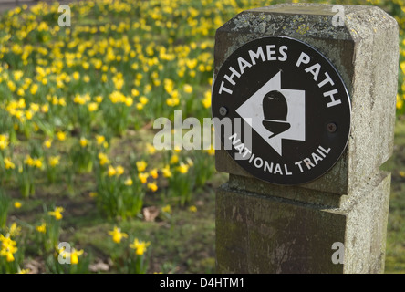 Gauche signe pour le thames path, sentier national de jonquilles en arrière-plan, wandsworth park, au sud-ouest de Londres, Angleterre Banque D'Images