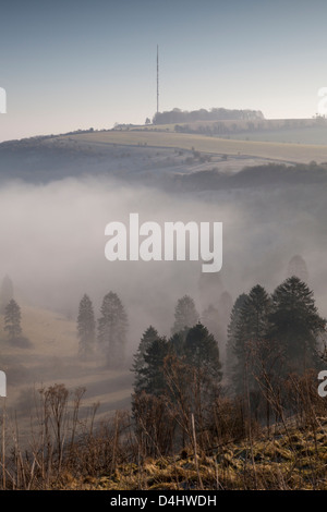 Un matin de voir la télévision sur mât Hannington Cottington Hill dans le Hampshire vu de la marche du voyageur sur Cannon Heath vers le bas Banque D'Images