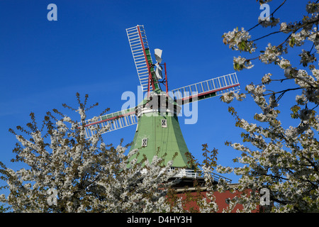 Altes Land, moulin à Twielenfleth VENTI AMICA près du Stade, Basse-Saxe, Allemagne Banque D'Images