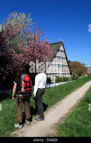 Altes Land, randonneur en face d'un cadre traditionnel à farmhous Este dyke, Basse-Saxe, Allemagne Banque D'Images