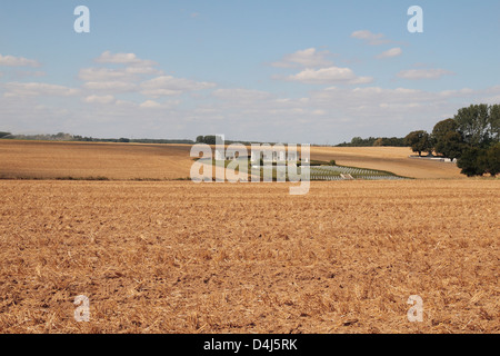 Le Cimetière national de Serre Hébuterne (Cimetière National Français) sur la bataille de la Somme, France. Banque D'Images