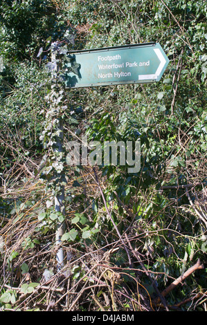 Sentier envahi par signer avec ivy climbing up the poster Banque D'Images