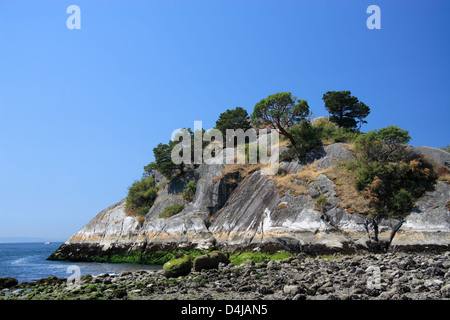 Plage dans le parc Whytecliff. West Vancouver Banque D'Images