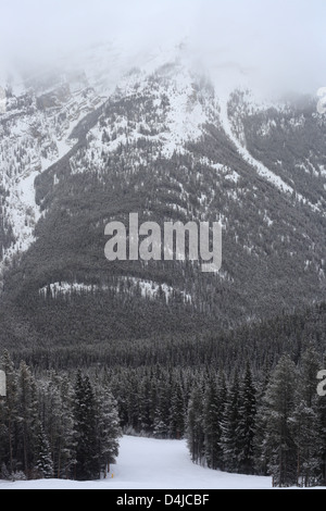 Pistes enneigées et les forêts de pins à Norqay Ski Resort dans le parc national Banff en Alberta Banque D'Images