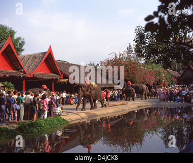 Elephant Show à la Roseraie, Rose Garden, province de Nakhon Pathom, Thaïlande Banque D'Images