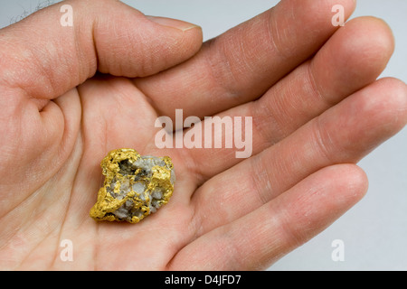 Nevada USA / Gold Nugget Quartz dans la main Banque D'Images