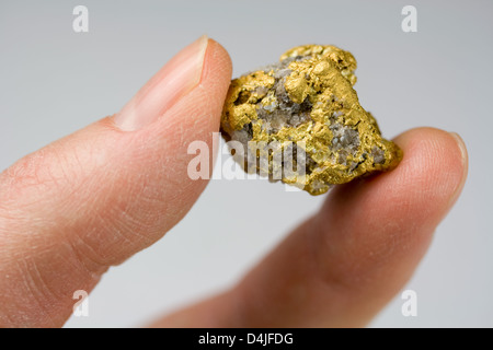 Nevada USA / Gold Nugget Quartz tenu entre les doigts Banque D'Images