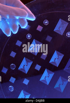 La photo montre un soi-disant Mini-laboratoire, de la taille d'un timbre, développé dans un nouveau processus de marquage à chaud par Jenoptik ?s de la direction générale des systèmes optiques à Jena, Allemagne, le 12 février 2009. Les structures les plus fins dans le nanomètre spectre peut être produite de manière rentable avec cette nouvelle technologie. Ces composants optiques microstructurées sont utilisés par exemple dans le diagnostic médical ou l'agent de recherche. Pho Banque D'Images