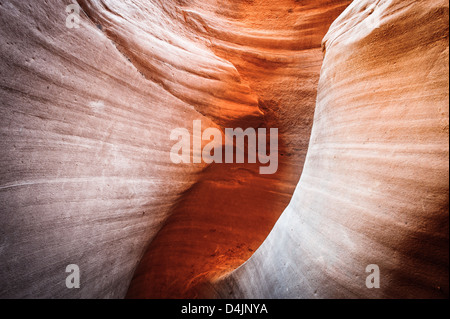 Peek-A-Boo slot canyon, trou dans un Rock Road, Grand Escalier Monument National, Utah, USA Banque D'Images