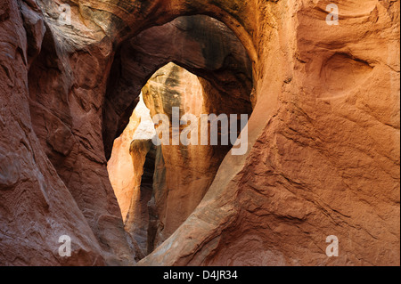 L'intérieur de passage de Peek-A-Boo Slot Canyon au trou dans un Rock Road à Grand Escalier Monument National, Utah, USA Banque D'Images