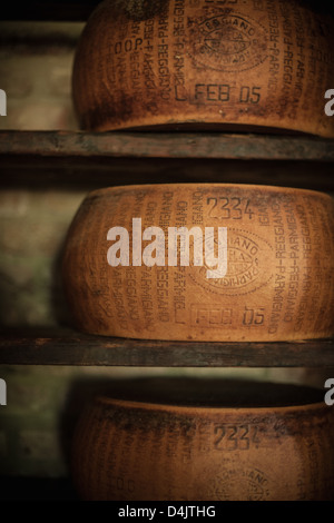 Roues de vieillissement en cave à fromage Banque D'Images
