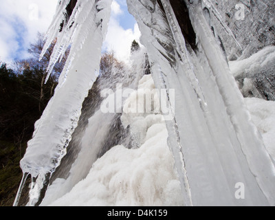 Formations de glace sur Taylor Gill vigueur cascade, au-dessus de la petite Venise Seathwaite, Lake District, UK. Banque D'Images