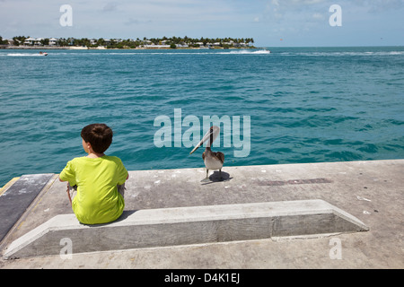 Regarder Pelican un garçon assis sur un quai Banque D'Images