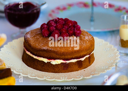 Gâteau framboise sur une plaque Banque D'Images