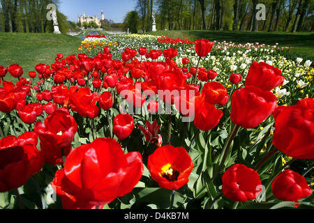 Vue sur le jardin du palais de Schwerin, le centre de l'Allemand 2009 veneue horticole fédérale Show (BUGA), dans la région de Schwerin, Allemagne, 21 avril 2009. La 30e BUGA sera ouverte le 23 avril, lorsque 450 jardiniers allemand présenter leurs créations plus de 172 jours sur 55 hectares. Un total de 1,8 millions de visiteurs sont attendus à la BUGA 2009 Jardins à thème sept ?au cœur de tout cela ?. Banque D'Images