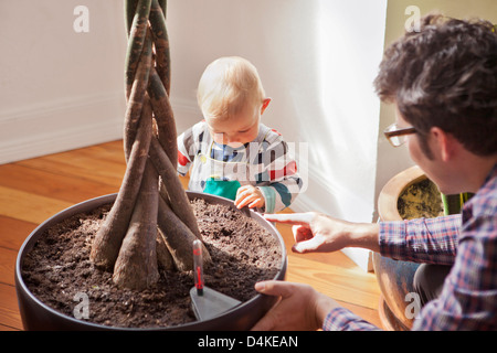 Père et Baby Boy with potted plant Banque D'Images