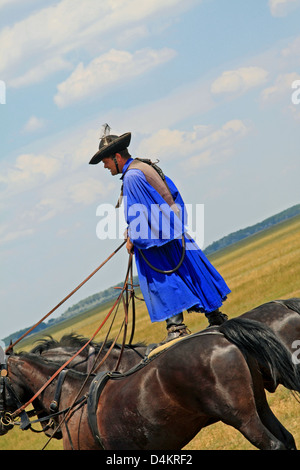 Exposition de chevaux de gulyas (bergers traditionnels / cow-boys) à cheval de chevaux hongrois. Parc national de Hortobágy, Hongrie Banque D'Images