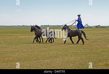 Exposition de chevaux de gulyas (bergers traditionnels / cow-boys) à cheval de chevaux hongrois. Parc national de Hortobágy, Hongrie Banque D'Images