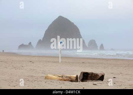 Dans Haystack Rock matin brumeux, Cannon Beach, Oregon, USA Banque D'Images