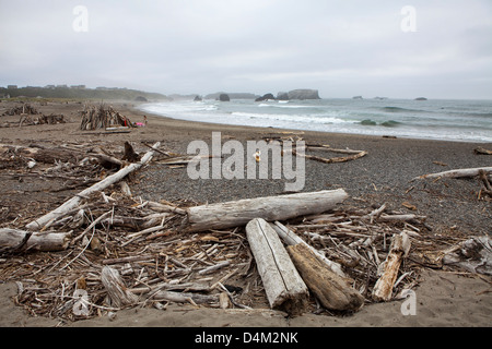 Certains bois flotté sur une plage à Bandon, Oregon, USA Banque D'Images