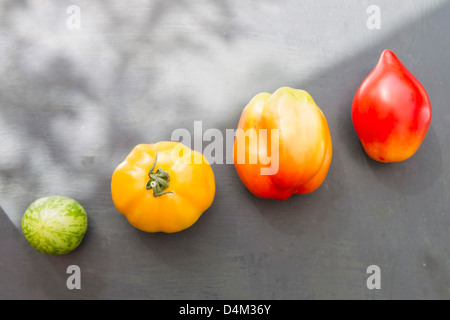 Variétés de tomates colorées Banque D'Images