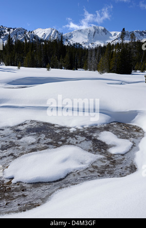 Printemps partiellement gelé en haut des montagnes de l'Oregon Wallowa. Banque D'Images