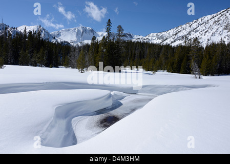 Printemps partiellement gelé en haut des montagnes de l'Oregon Wallowa. Banque D'Images