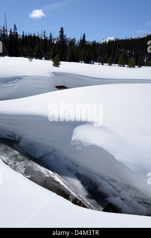 Cours supérieur de la fourche de l'ouest de la rivière Wallowa partiellement congelée dans une prairie de l'Oregon est Montagnes Wallowa. Banque D'Images