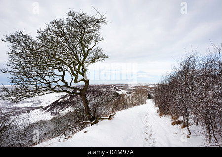 La neige sur le trou de Horcum dans le North York Moors National Park entre Levisham Goathland et dans le Nord du Yorkshire, UK, Banque D'Images