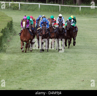 Dresde, Allemagne, chevaux et jockeys pendant une course de chevaux Banque D'Images