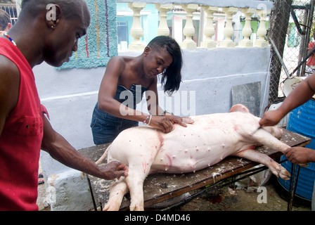 La Havane, Cuba, l'abattage de porcs à San Miguel Banque D'Images