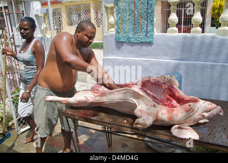 La Havane, Cuba, l'abattage de porcs à San Miguel Banque D'Images