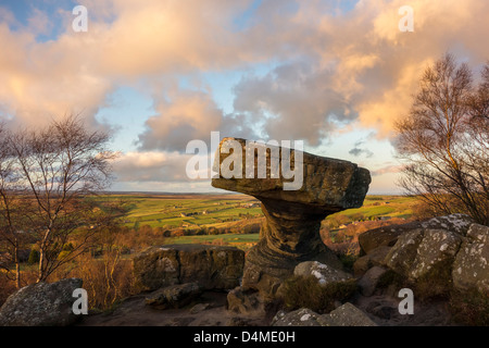 Le Druid's Table, Brimham Rocks, Yorkshire du Nord Banque D'Images