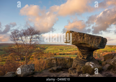 Le Druid's Table, Brimham Rocks, Yorkshire du Nord Banque D'Images