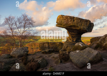 Le Druid's Table, Brimham Rocks, Yorkshire du Nord Banque D'Images