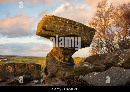 Le Druid's Table, Brimham Rocks, Yorkshire du Nord Banque D'Images