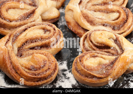 Brioches à la cannelle après la cuisson sur une plaque à biscuit Banque D'Images