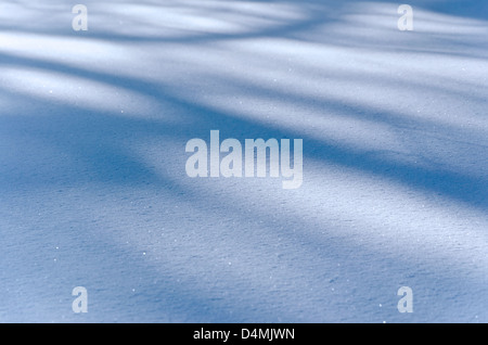 L'étincelle dans les amoncellements de neige derniers rayons du soleil Banque D'Images