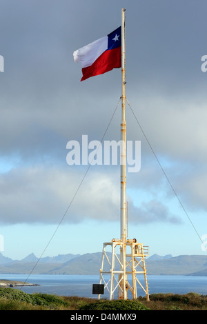 Le drapeau national du Chili, La Estrella Solitaria, (le Lone Star) en vol au dessus du Parc National du Cap Horn. Cabo de Hornos. Banque D'Images