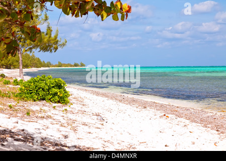 Seven Mile Beach sur l'île Grand Caïman, Îles Caïmans Banque D'Images