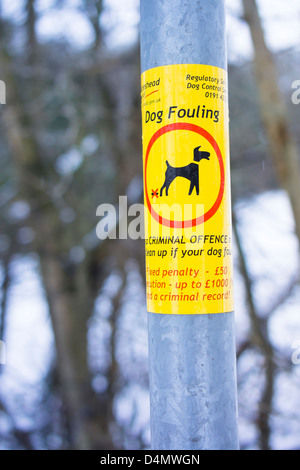 Un encrassement chien signe sur un lampadaire. Banque D'Images