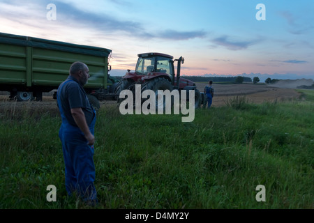 L'Allemagne, de Penzlin, les agriculteurs au moment de la récolte, tard dans la soirée Banque D'Images