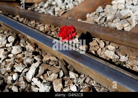 Juifs parsèment des fleurs sur les rails de l'ancienne gare ferroviaire de Thessalonique où le premier train a quitté la Grèce du nord de la ville en direction du camp de concentration d'Auschwitz le 15 mars 1943. Pour mars commémorative du 70e anniversaire du départ du premier train de Thessalonique pour les camps des Nazis à Auschwitz. Point de départ, le mémorial de l'Holocauste dans Eleftherias (La Liberté) et l'ancienne gare de destination où le premier train a quitté avec les juifs de Thessalonique. Thessalonique, Grèce. Le 16 mars 2013. La deuxième plus grande ville de la Grèce commémore le 70e anni Banque D'Images