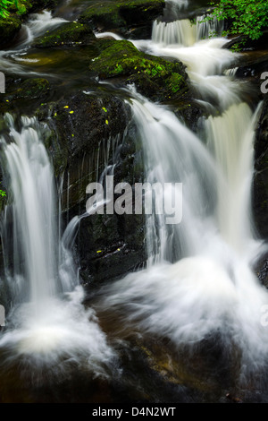 Cascade à Killarney, Irlande Banque D'Images