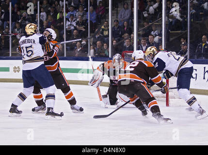 16 mars 2013 - South Bend, Indiana, États-Unis d'Amérique - 16 mars 2013 : Les joueurs se ruent sur des rondelle lâche lors de match de hockey NCAA l'action entre la lutte contre Notre Dame irlandais et les Falcons de Bowling Green à Compton Famille Ice Arena à South Bend, Indiana. Notre Dame défait Bowling Green 4-3. Banque D'Images