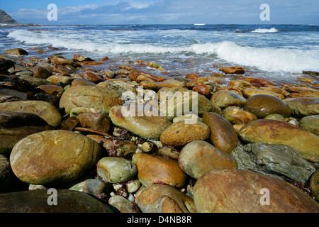 Plage de rochers avec de gros cailloux lisses et courbes sur un matin ensoleillé Banque D'Images