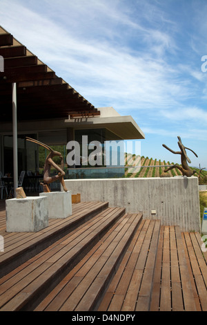 Tokara fines à Stellenbosch - Western Cape - Afrique du Sud Banque D'Images